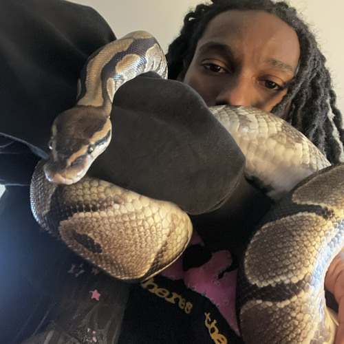 NO MORE !! (Going to prison)