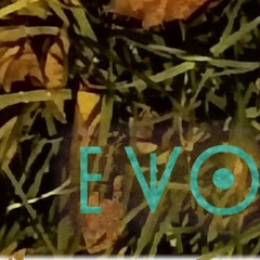 EVO Bandcamp Album Extracts