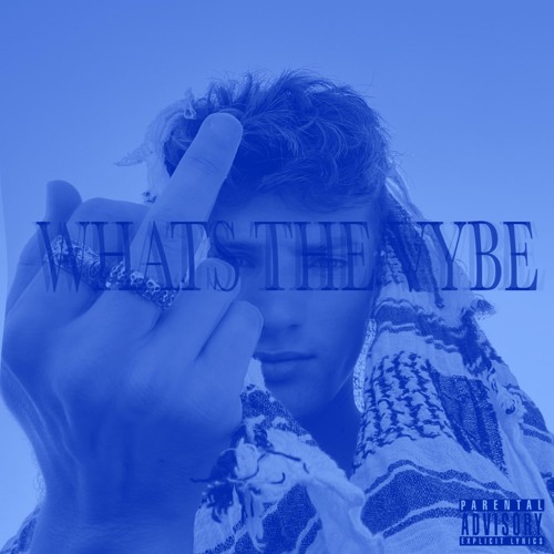 What's the Vybe [Prod. @evangibs0n]