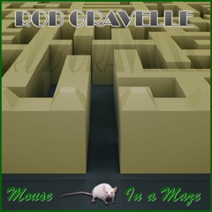 Mouse In A Maze