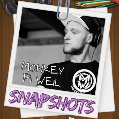 MW Snapshots - Monkey Pi Weil
