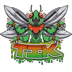 TIK - FAIRCHILD A10 THUNDERBOLT II