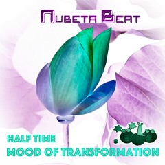 Mood Of Transformation Halftime