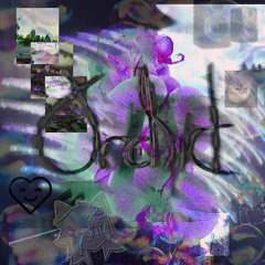Orchid