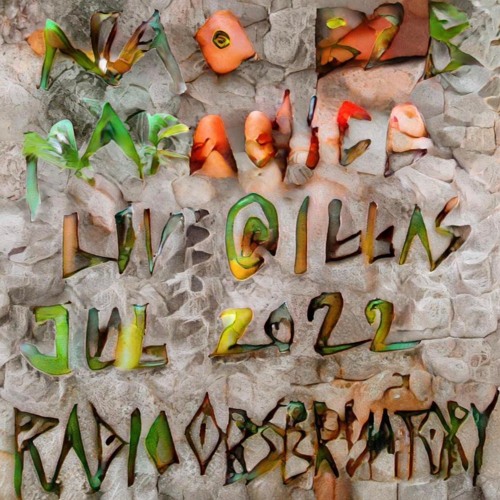 Radio Observatory #98 With Nao & pAradice @ ILLAS JUL 2022