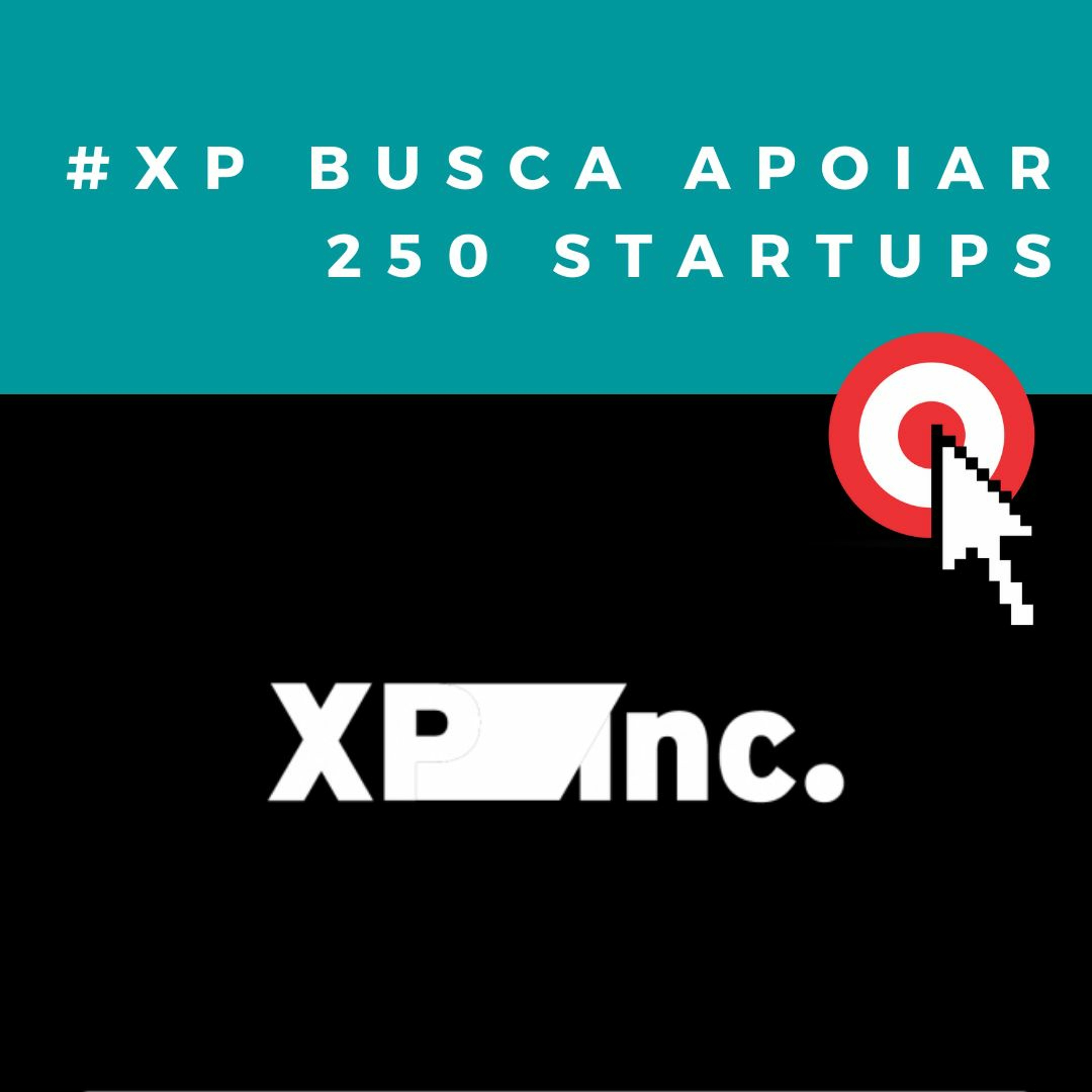 XP Inc. cria nova linha de negócio que busca apoiar 250 startups dentro de um ano