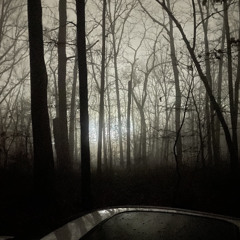 gone with the breeze like withered leaves