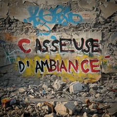 CASSEUSE D'AMBIANCE