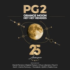 PG2 - Hey Heeey (Digital Poison Remix)