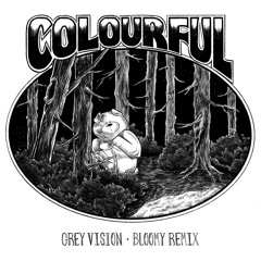 Grey Vision - Colourful (blo0my Remix)
