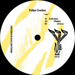 LV Premier - Felipe Gordon - Oladipo (Edit) [Neighbour Soul Rhythms]