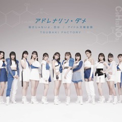 Tsubaki Factory - Adrenaline Dame