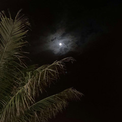 الحياه حلوه بيك مش هعيش الا ليك