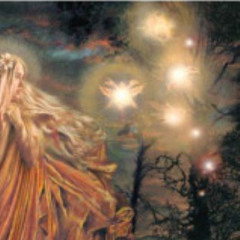 Vzkazy přírody 3 - Stromovníci