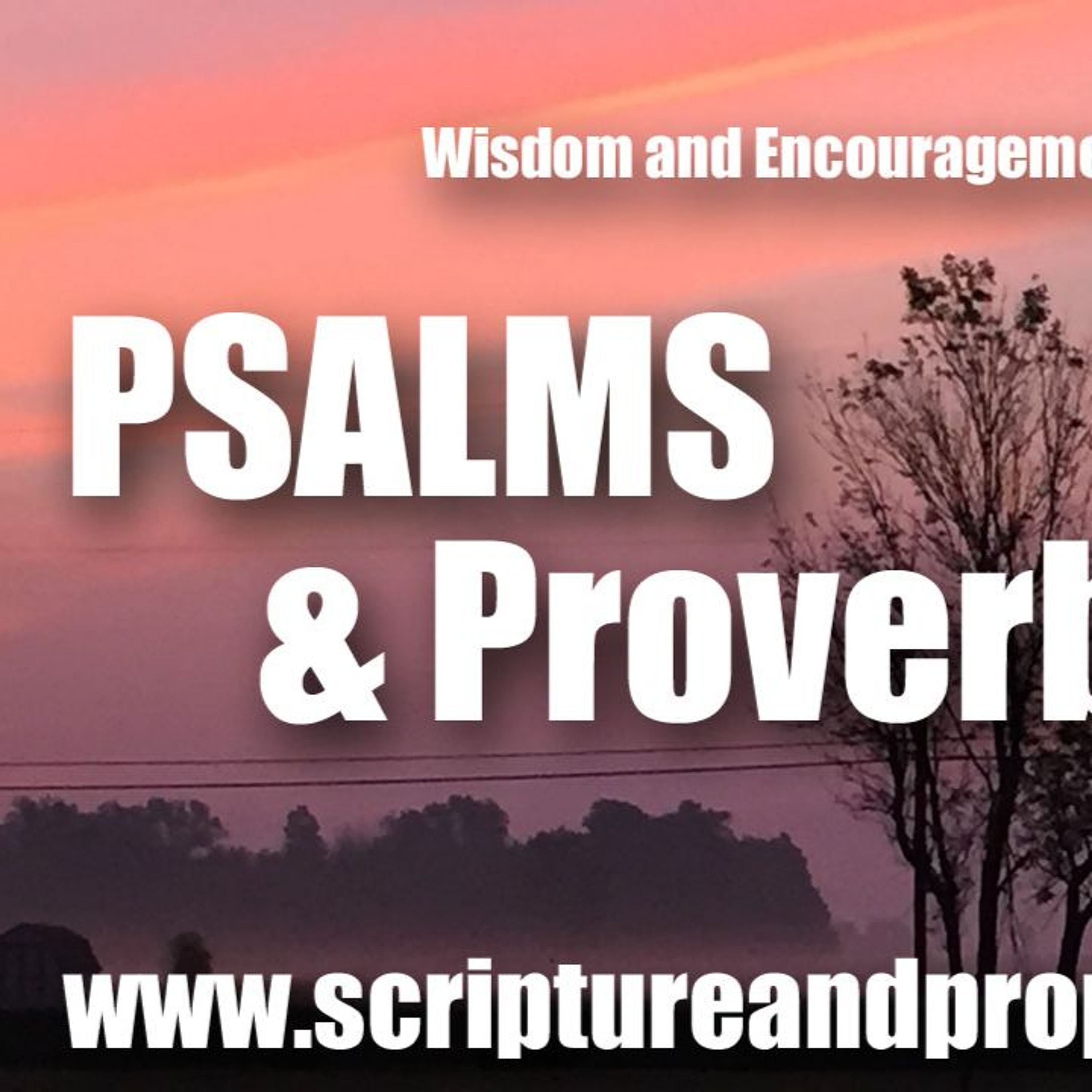 Scripture & Prophecy - Weekly Bible Studies