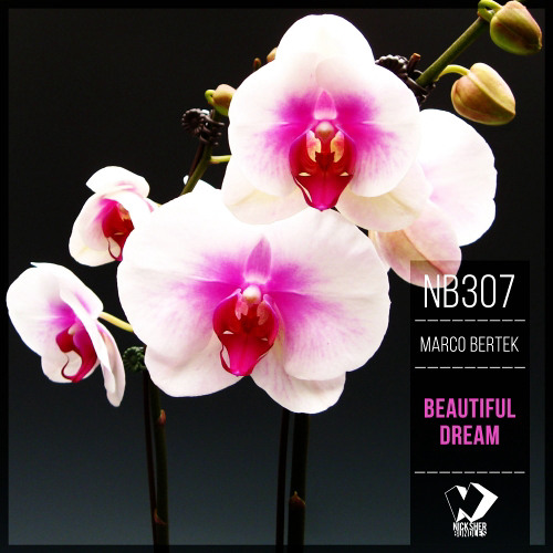 Marco Bertek - Beautiful Dream (Original Mix)