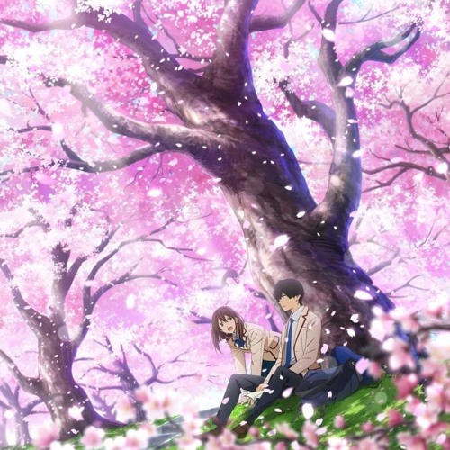 君の膵臓をたべたい