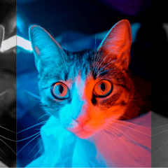 DSSN - Midnight Groovy Techno