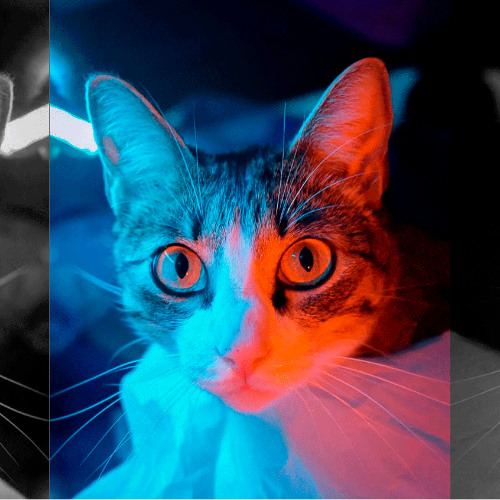 DSSN - Midnight Groovy Techno