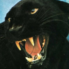 Severe Mode (prod. ognickkk)