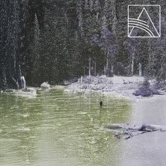 Forest Dweller - A Relic Of No Demonstrable Presence