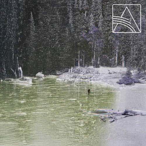 Forest Dweller - A Relic Of No Demonstrable Presence