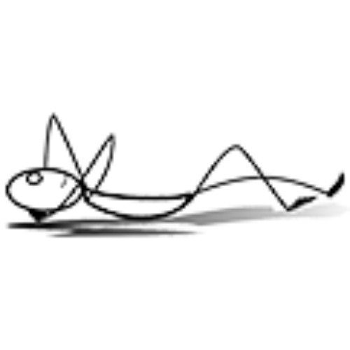 volle maan sessie 5 november 2025 van spanning naar ontspanning