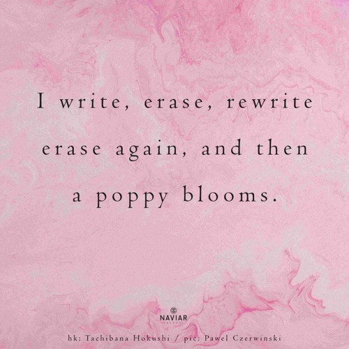haiku #557: I write, erase, rewrite / erase again, and then / a poppy blooms.