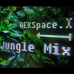 Jungle Mix 2024