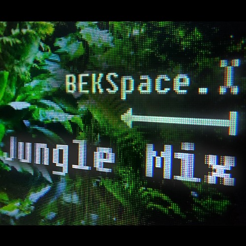 Stream Jungle Mix 2024 by BEKSpace | Listen online for free on SoundCloud