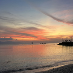 Zedko-Quitter la France