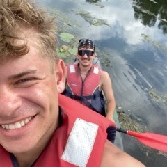 plany na dziary x palmflows