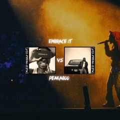 Embrace It Vs Peekaboo - Ndotz Vs Kendrick Lamar [MILESY MASHUP EDIT]