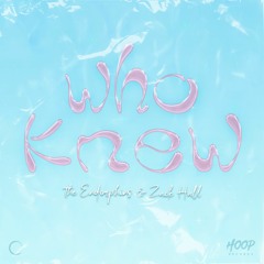 The Endorphins X Zack Hall - Who Knew 🌫