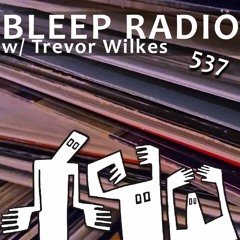 Bleep Radio #537 w/ Trevor Wilkes [Distorted Breakfast]
