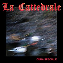 La Cattedrale - Cura Speciale