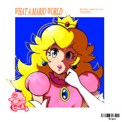 what a mario world - castle - DT-MIX