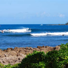 Review Special Price Private 1-To-1 Surfing Lesson With Waikiki Courtesy Shuttle