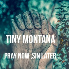 Montana official tiny 