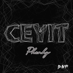 CEYIT - Mixing by BMP