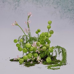 Vy Vy - Buộc Vào Cơn Gió
