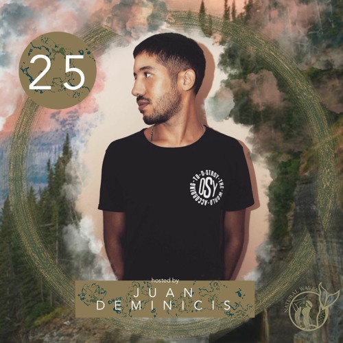 Juan Deminicis - Natural Waves Podcast 25