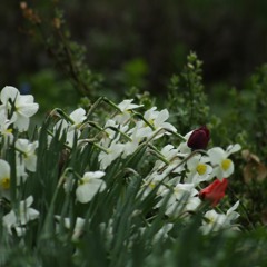 Скриптонит - Это любовь (Speed up)