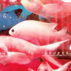 if you're right (prod. zayok)