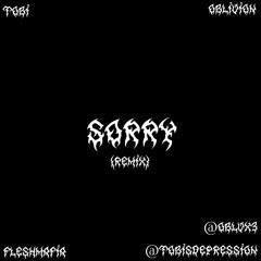 SORRY (remix)