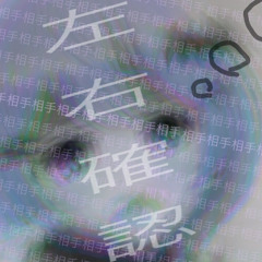 ¿⚠︎左右確認⚠︎? - しねないぞんび