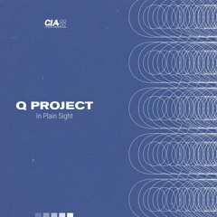 Q Project - In Plain Sight