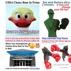 Bone In