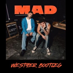 Martin Garrix & LAUV - MAD (Westher Bootleg)