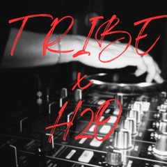 TRIBE x BEEST DJ CONTEST - [H2O]